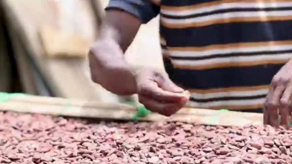 2024 Year in Review: Ghana's cocoa challenge