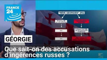 Géorgie : que sait-on des accusations d’ingérences russes ? • FRANCE 24