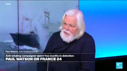 ‘The most powerful weapon in the world is a camera,’ says anti-whaling activist Paul Watson