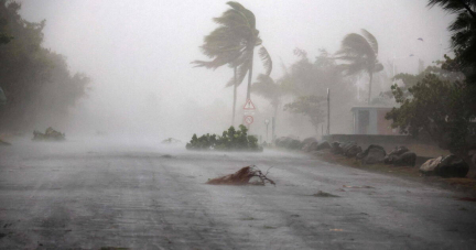 A la Réunion, après le passage du cyclone Garance : «Le vent a tout pris»