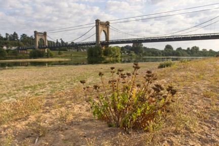 A quoi ressemblera le climat dans une France à + 4 °C ?