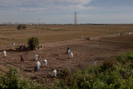 A Valence, la zone naturelle de l’Albufera polluée par des tonnes de détritus après les crues dévastatrices