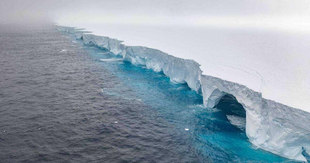 A23a, le plus grand iceberg du monde, s’immobilise près d’une île riche en faune sauvage