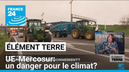 Accord UE-Mercosur: un danger pour le climat? • FRANCE 24