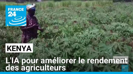 Agriculteurs kenyans : l'IA pour améliorer leur rendement • FRANCE 24