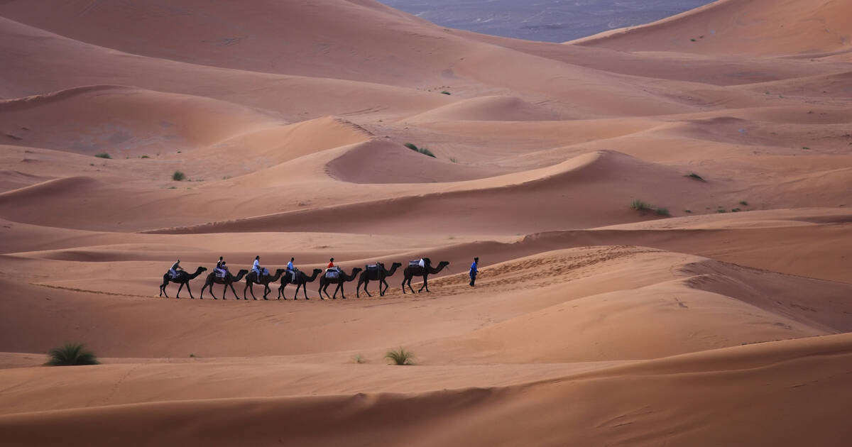 Algérie : le désert du Sahara au cœur de la relance touristique