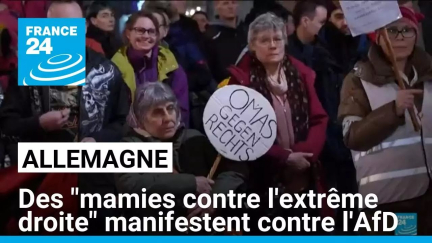 Allemagne : des "mamies contre l'extrême droite" manifestent contre l'AfD • FRANCE 24