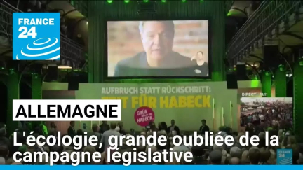 Allemagne : l'écologie, grande oubliée de la campagne législative • FRANCE 24