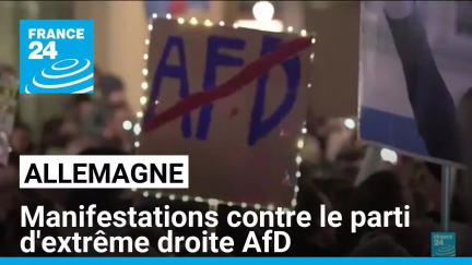 Allemagne : manifestations contre le parti d'extrême droite AfD • FRANCE 24