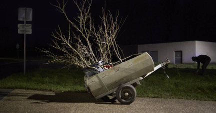 «Aller en garde à vue pour planter des arbres serait ridicule» : des militants écolos font pousser des mirabelliers la nuit à Nancy