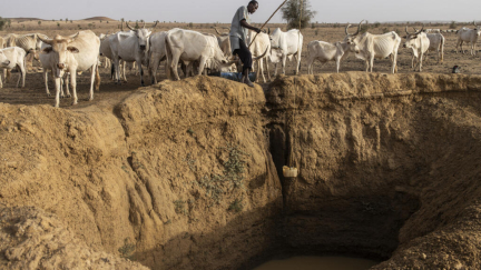 Almost every nation on Earth misses UN deadline for new climate targets