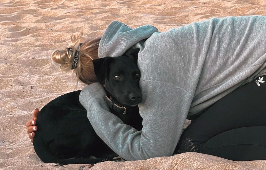 Amalka, la chienne retrouvée après sa disparition à Roissy