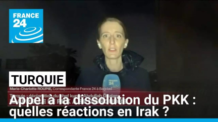 Appel à la dissolution du PKK : quelles réactions en Irak ? • FRANCE 24