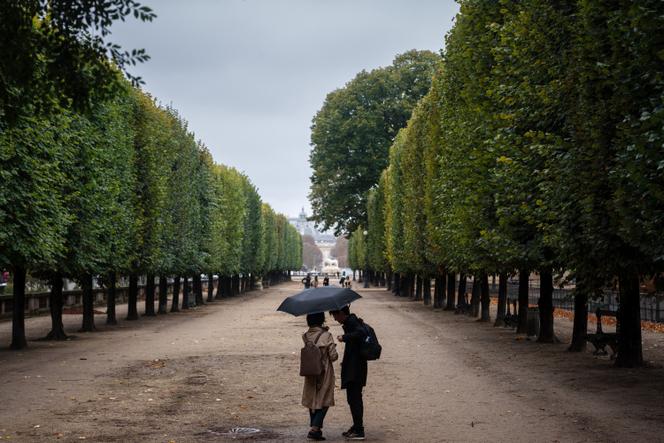 Après un septembre record, 40 % de précipitations supplémentaires en octobre en France