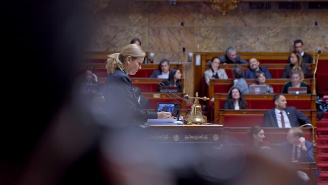 « Assemblée nationale, anatomie d’une crise », sur France.tv : un an dans les couloirs du palais Bourbon