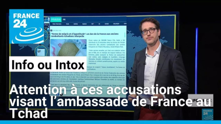 Attention à ces accusations visant l’ambassade de France au Tchad • FRANCE 24