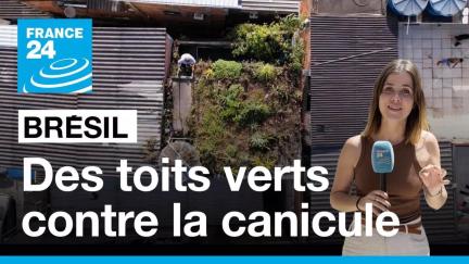 Au Brésil, des toits verts dans les favelas pour contrer la canicule • FRANCE 24