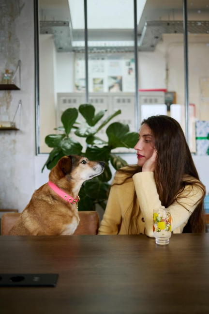 Au bureau, le chien, mieux que le baby-foot ? « On propose des gamelles, des couffins et des ramasse-crottes »