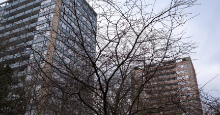 Au quartier Maurepas, à Rennes : «Je m’attends plus à ce qu’une bande écrase les autres qu’à une intervention efficace de l’Etat»