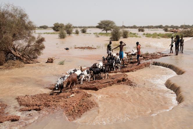 Au Sénégal, les inondations déplacent plus de 56 000 personnes dans l'est