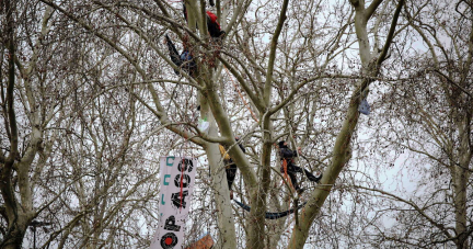 Autoroute A69 : avant une audience «cruciale», les militants écologistes attendent «une justice à la hauteur de l’enjeu»