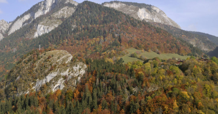 Autoroute du Chablais : non à l’artificialisation de l’équivalent de 242 stades de foot au bord du lac Léman