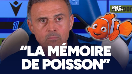 Auxerre 0-0 PSG : "Comme la mémoire de poisson !", Luis Enrique n’a aucun doute ni pression