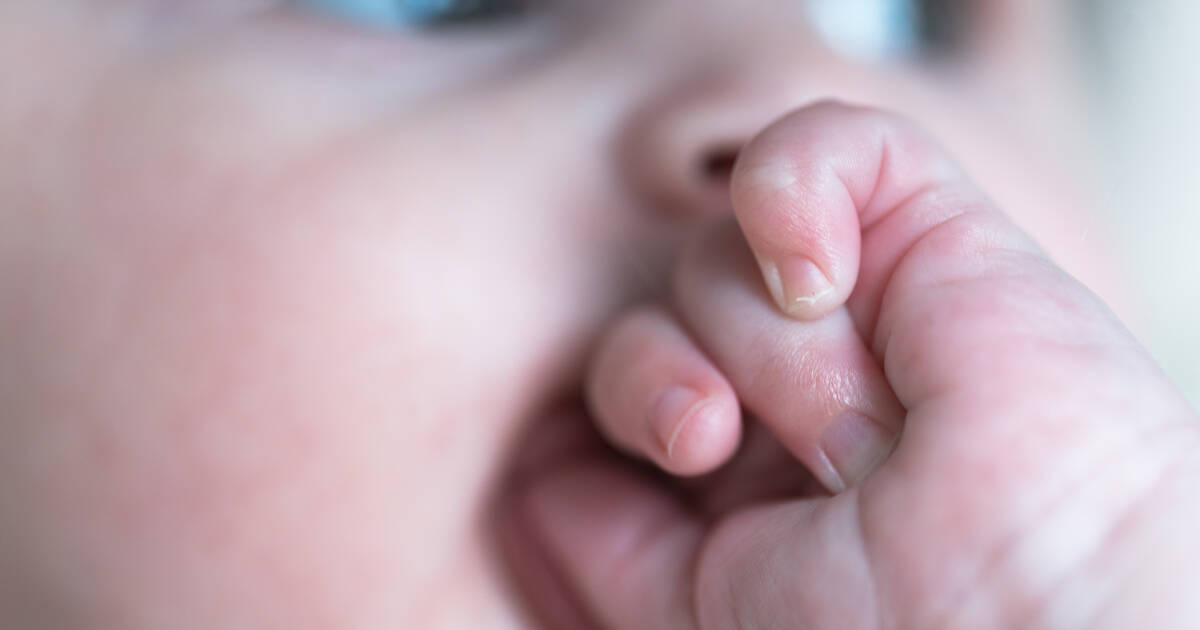 Baby, non merci, par l’écrivaine Corinne Maier