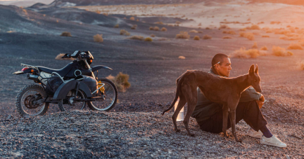 «Black Dog» réussit son paria