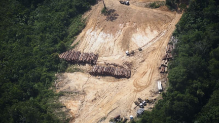 Brésil: le taux de déforestation en Amazonie chute en février