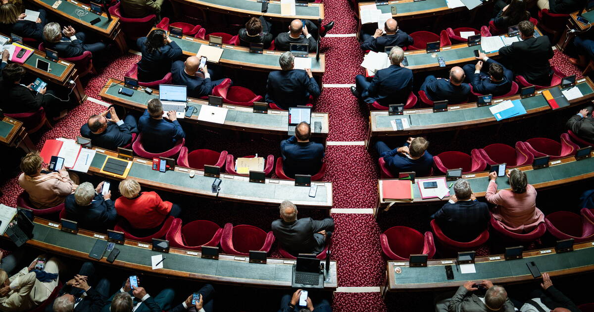 Budget 2025 : le Sénat repousse une hausse sur l’électricité mais vote pour augmenter le gaz