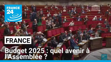 Budget 2025 : quel avenir à l'Assemblée ? • FRANCE 24