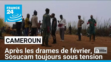 Cameroun : après les drames de février, la Sosucam toujours sous tension • FRANCE 24