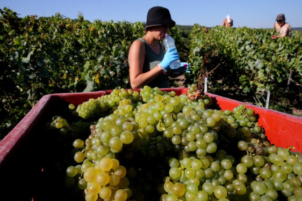 Canicule : vers une prise de conscience des employeurs d'un nouveau risque au travail