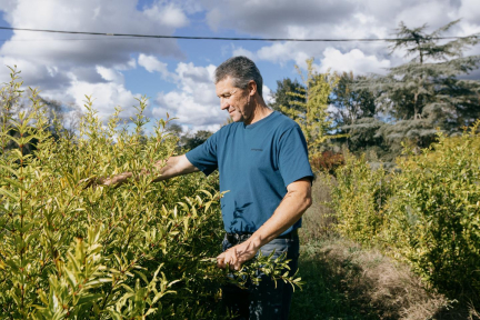 Ces vignerons qui font le choix de la diversification