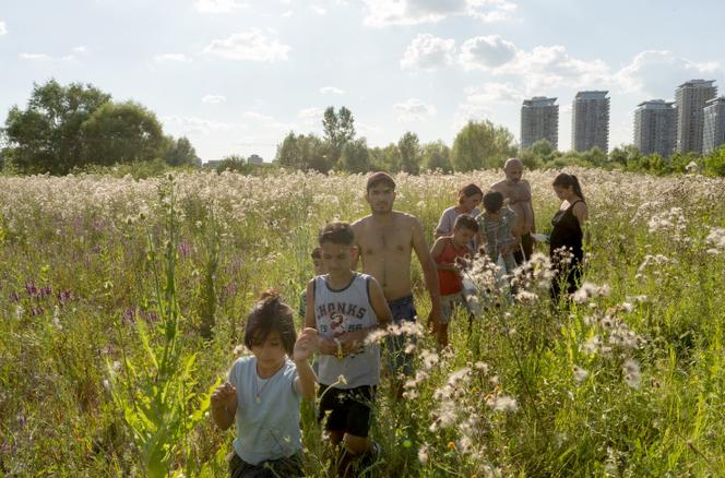 « Ceux du lac », de Corinne Royer : célébrer la vie au sein de la nature