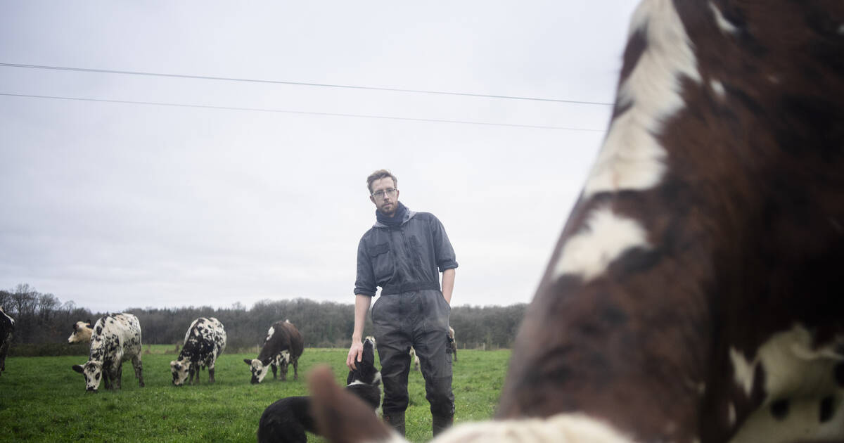 Chez un agriculteur en conversion vers le bio : «A une époque, ce genre d’évolution était inaudible»