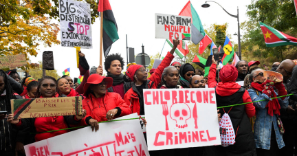 Chlordécone : l’Etat condamné à indemniser 11 Guadeloupéens et Martiniquais victimes du pesticide