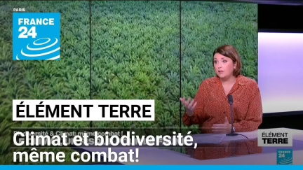 Climat & Biodiversité: une relation interdépendante • FRANCE 24