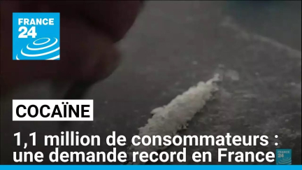 Cocaïne : plus d'un million de consommateurs en 2023, une demande record en France • FRANCE 24