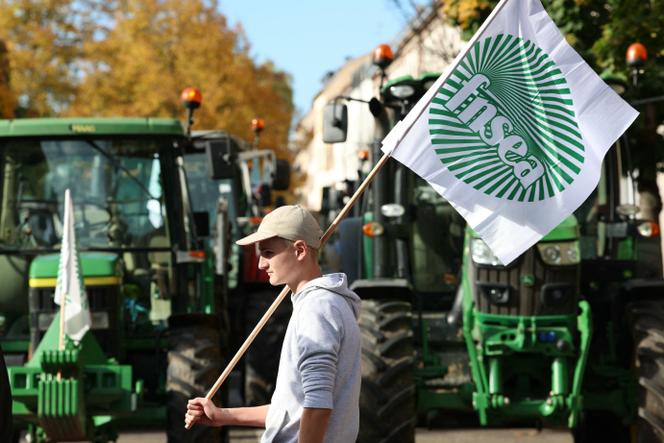 Colère des agriculteurs : la FNSEA appelle à de nouvelles mobilisations les 9 et 10 décembre