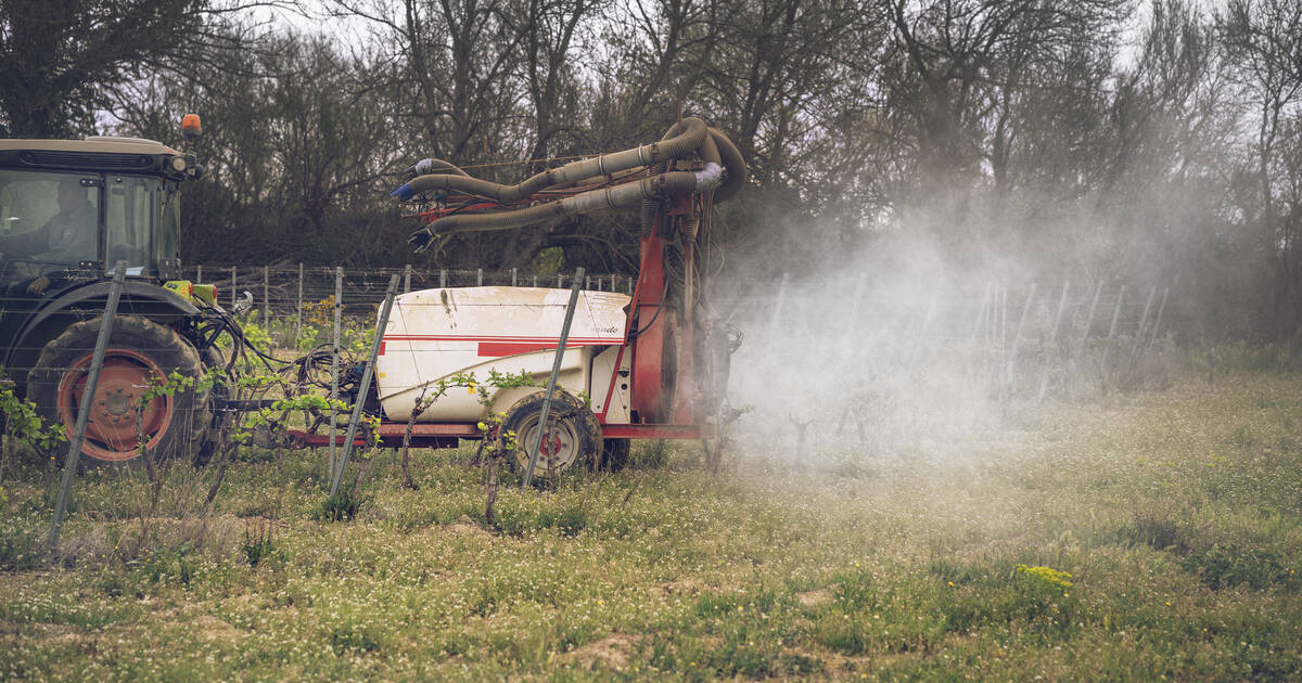 Colère des agriculteurs : pesticides, OFB… Le gouvernement annonce des «simplifications» contre les «boulets» des normes