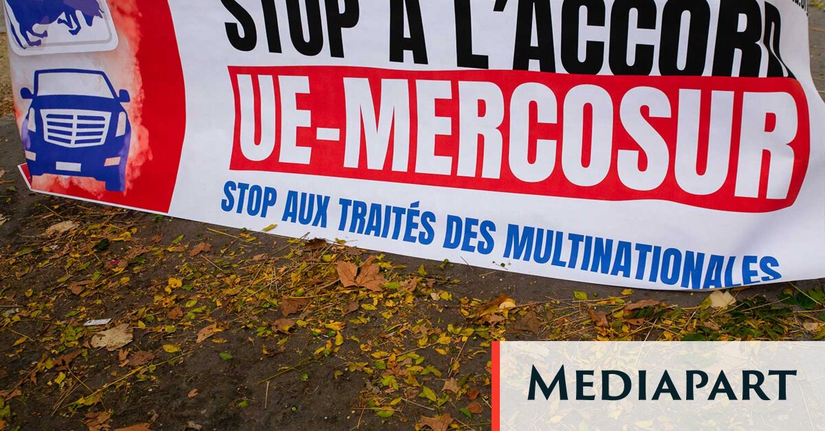 Contre l'accord UE-Mercosur : un consensus politique inédit, une colère agricole qui revient

Un consensus politique inédit
Une colère agricole qui revient
Source : Le Monde