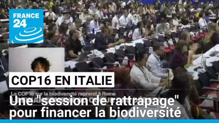 COP16 : à Rome, une "session de rattrapage" pour financer la sauvegarde de la nature • FRANCE 24