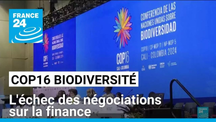 COP16 biodiversité à Cali : l'échec des négociations sur la finance • FRANCE 24