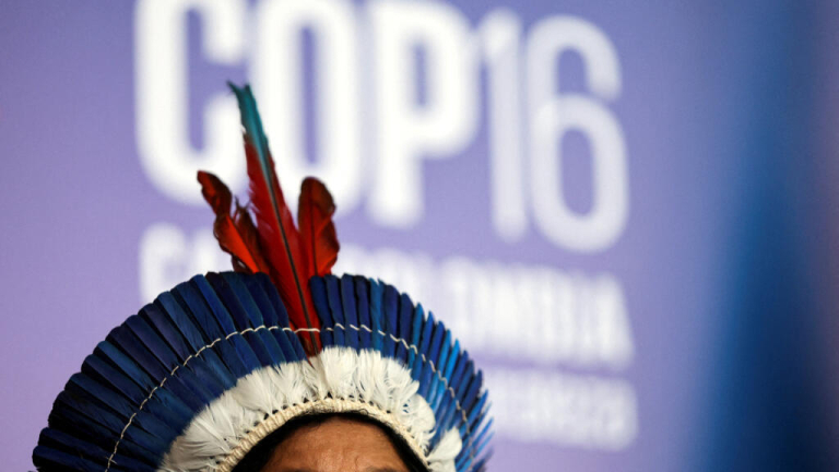 COP16 biodiversity summit agrees on permanent body for Indigenous representation