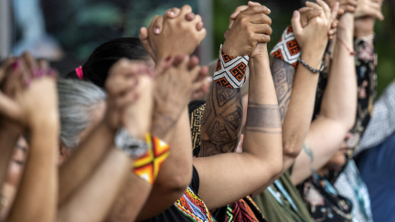 COP16 biodiversity summit enters 'heart-stopping' final day with divide over funding