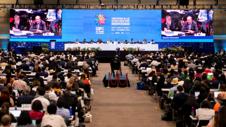 COP16 ends with no agreement on funding roadmap for species protection