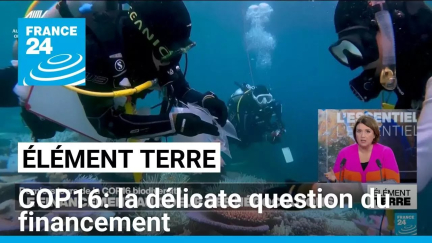 COP16: Le financement au cœur des négociations • FRANCE 24