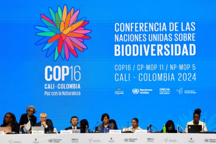 COP16 sur la biodiversité : une clôture « riche en rebondissements », assure la présidente de la conférence